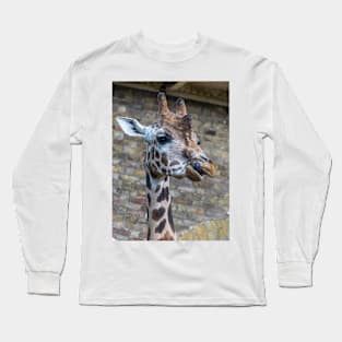 Giraffe up close Long Sleeve T-Shirt